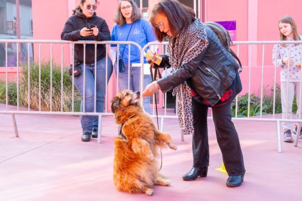 La fête des animaux à Alfortville