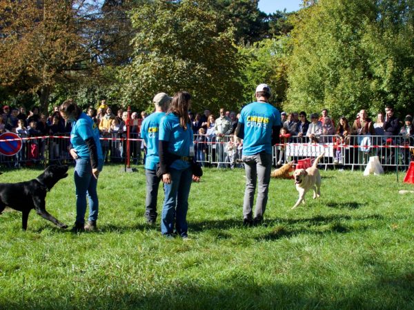 Journée portes ouvertes à l&rsquo;école des chiens guides de Paris