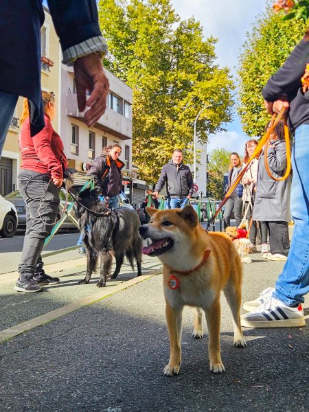 La fête des animaux à Alfortville