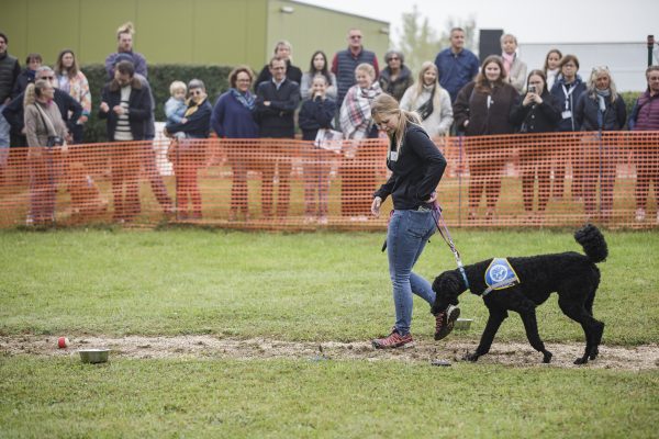 La journée des chiens guides d&rsquo;aveugles à Misérieux