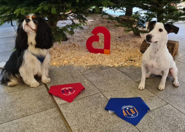 Les chiens à l’honneur à l’office du Tourisme d&rsquo;Albi