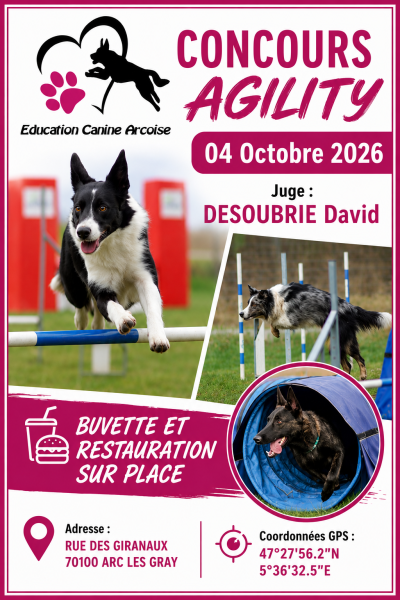 Concours d&rsquo;agility à Arc-lès-Gray
