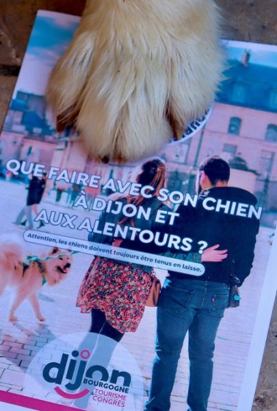 Les chiens à l’honneur à l’office du tourisme de Dijon