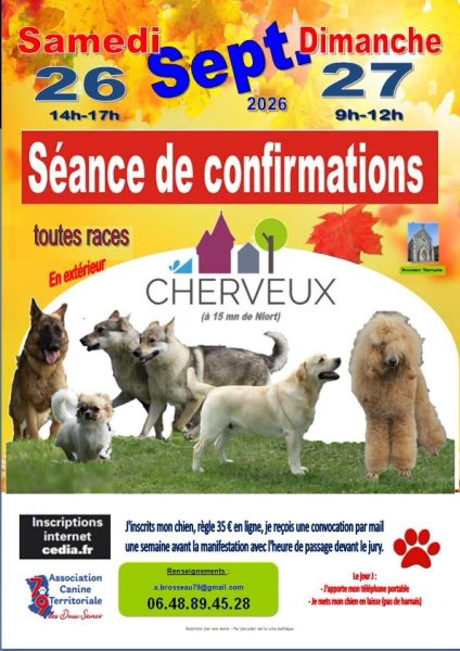 Séance de confirmation de chiens de race à Cherveux