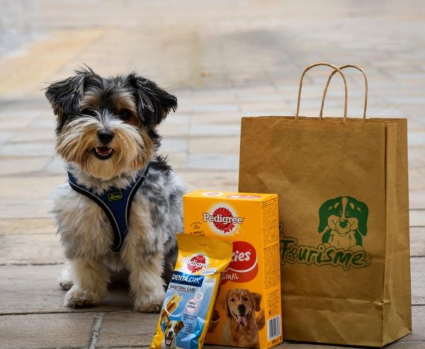 Les chiens à l’honneur à l’Office de Tourisme de Marignane