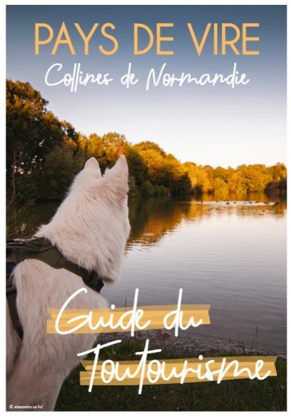 Les chiens à l’honneur à l’Office de Tourisme de Vire Normandie