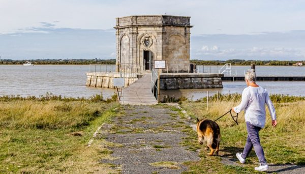 Les chiens à l’honneur à l’Office de Tourisme de Rochefort Océan