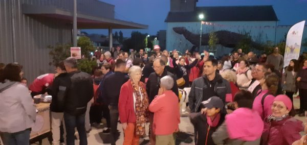 Cani marche pour octobre rose à Cherveux