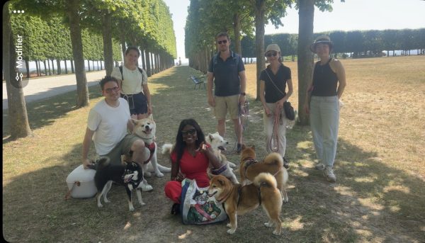 Semaine du bien-être Animal à Saint-Germain-en-Laye