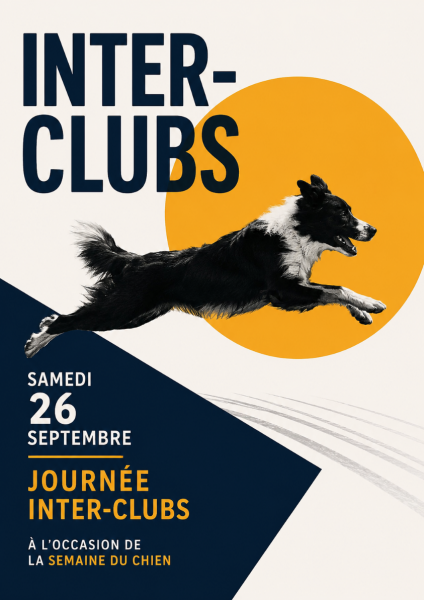 Journée inter-clubs à Fontaine-le-Comte