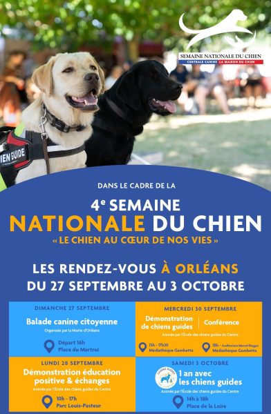 Activités et sensibilisation canines à Orléans