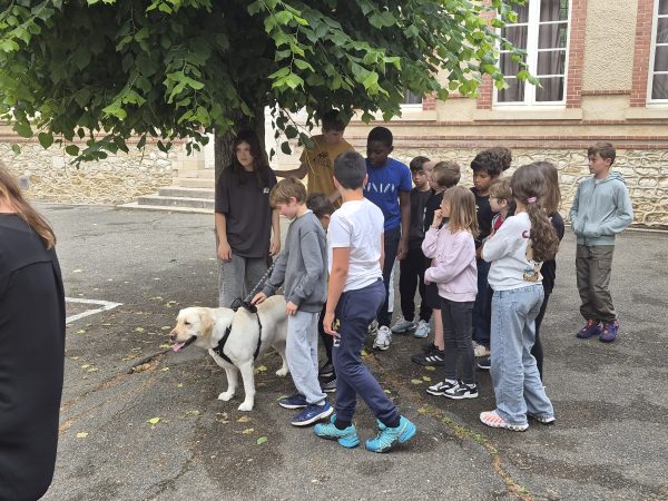 Ateliers pédagogiques d&rsquo;approche du chien à Maule
