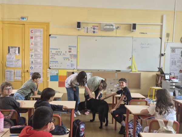 Ateliers pédagogiques d&rsquo;approche du chien à Maule