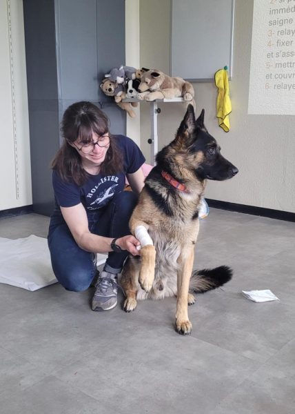 Atelier premiers secours canins et félins à Montfiquet