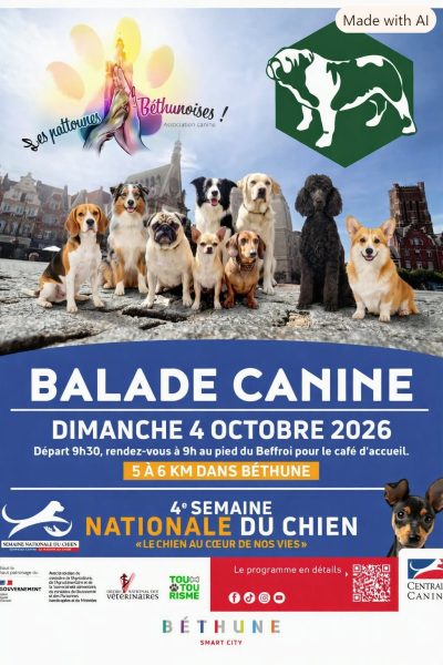 Balade canine à Béthune