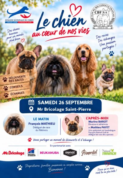Sensibilisation sur les chiens de race à Saint-Pierre