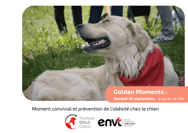 Journée dédiée à la prévention de l’obésité chez le chien à Toulouse