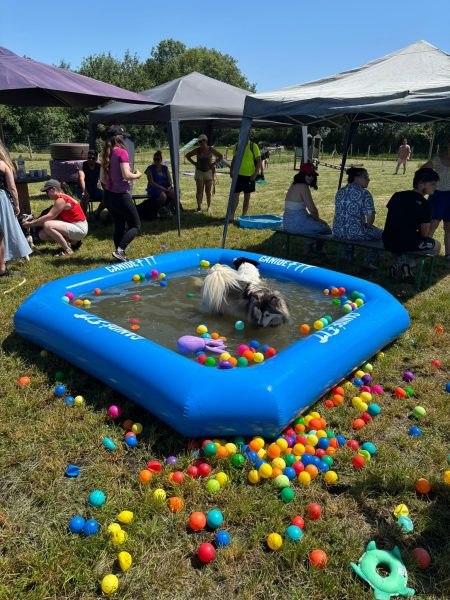 CaniLou&rsquo;Fest à Vezins