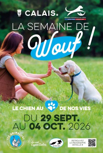 Activités et balade canine à Calais