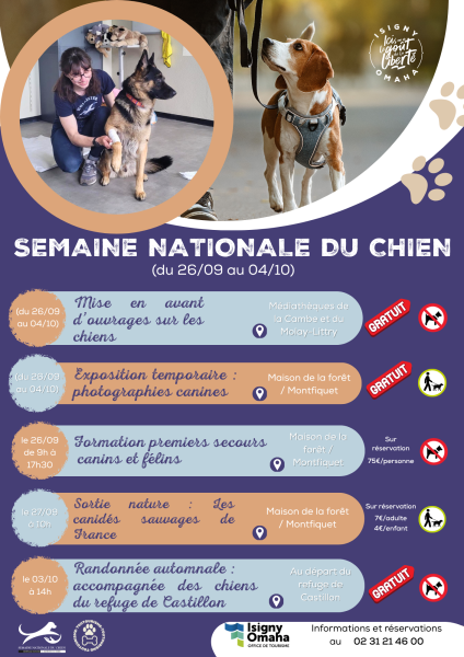 Atelier premiers secours canins et félins à Montfiquet