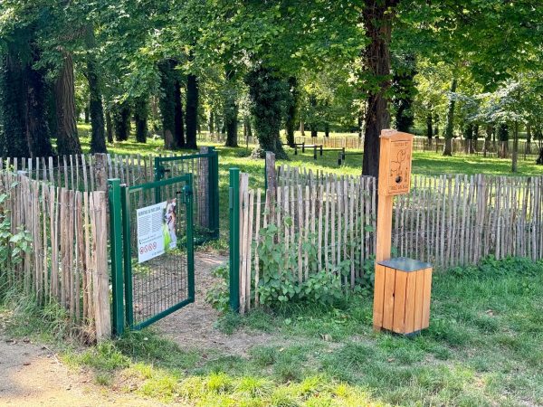 Rencontre canine à Wissous