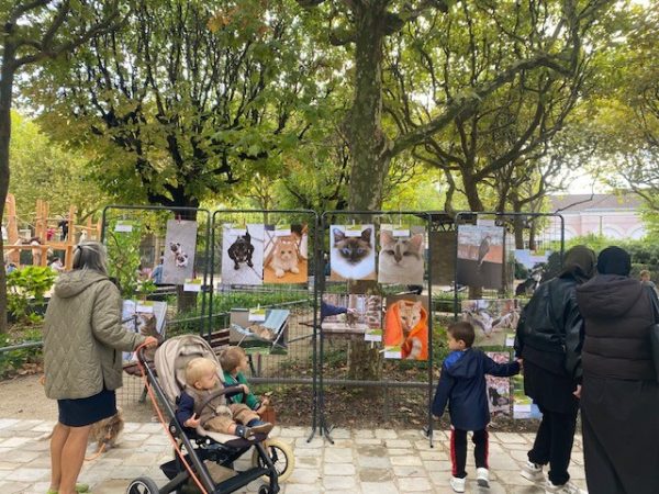 Semaine du chien à Asnières-sur-Seine